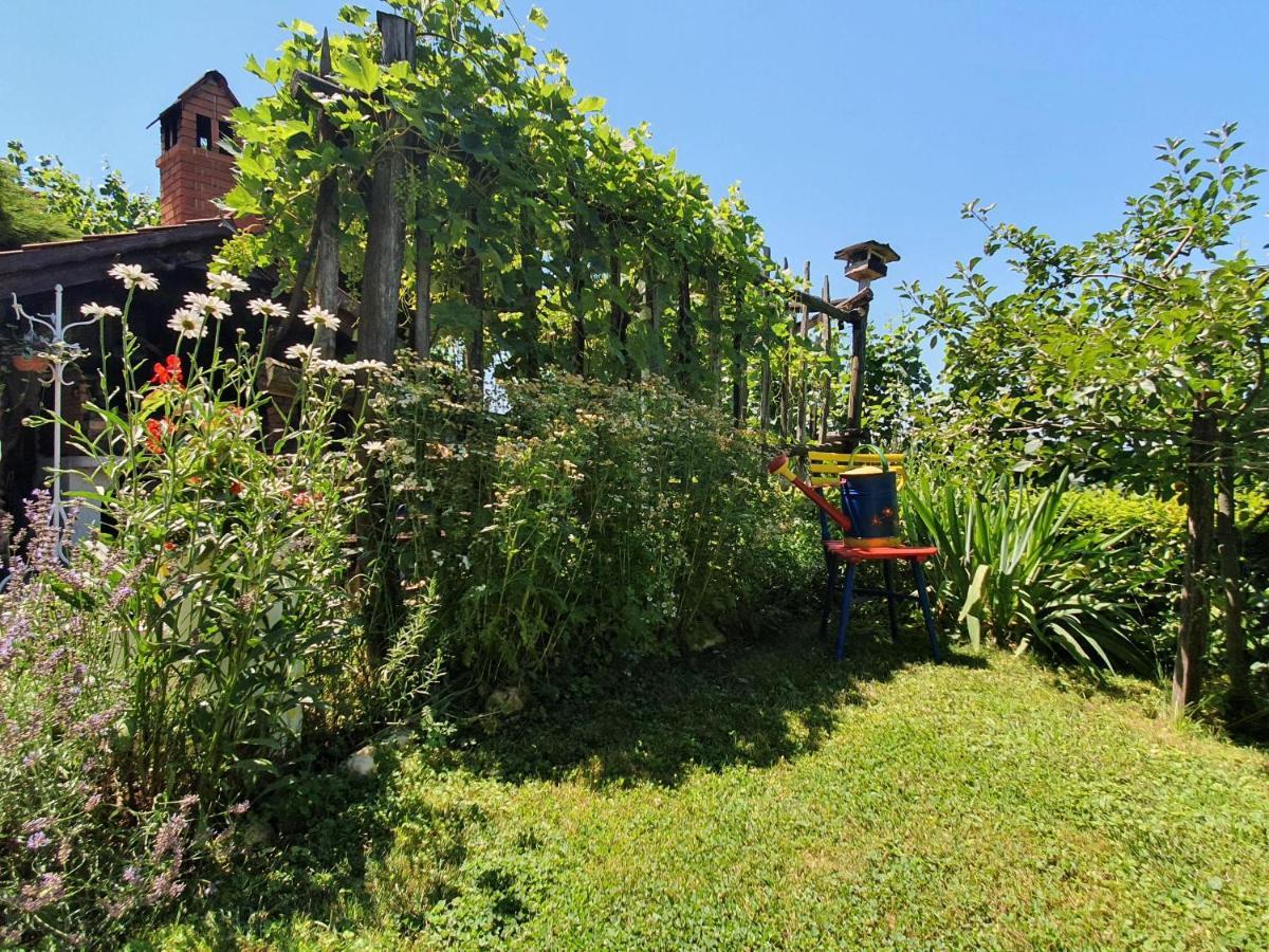 Hisa Korazija Lägenhet Rogaška Slatina Exteriör bild