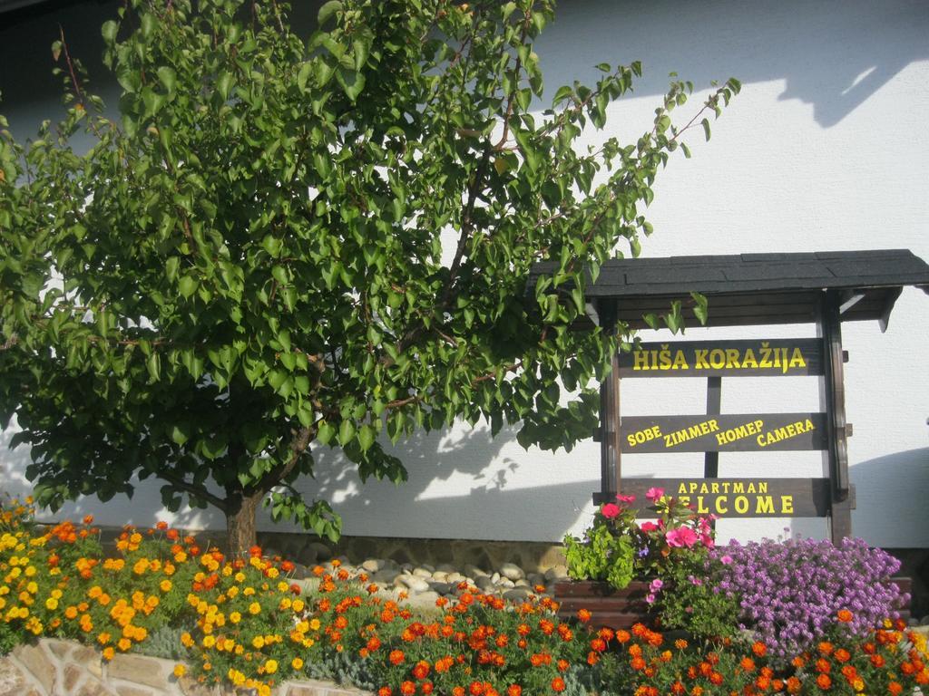 Hisa Korazija Lägenhet Rogaška Slatina Exteriör bild